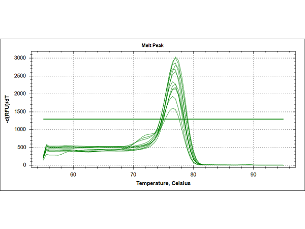 QPCR-2