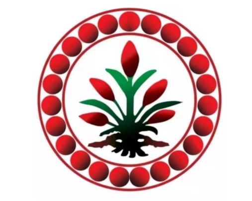 历史文化