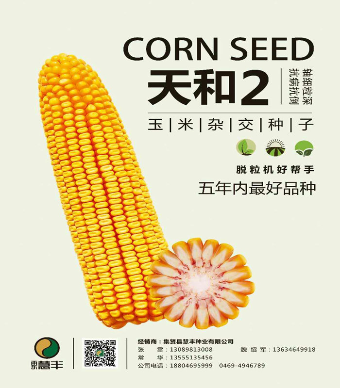 玉米天和2號